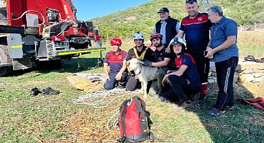 yürekleri ısıtan kurtarma operasyonu
