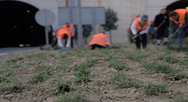 Kuraklığa karşı İzmir’in yeşil örtüsünde dönüşüm 