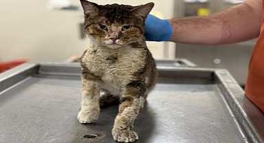 Çörekçi'nin Emanetlerine Büyükşehir Sahip Çıktı