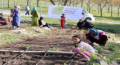 Mahalle bostanlarında kış dikimleri başladı