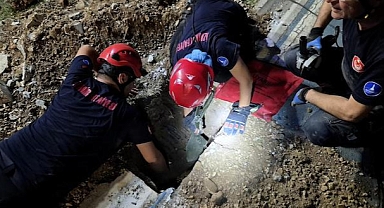 Mazgala düşen kayıp köpek ve yangında mahsur kalan kediler itfaiyenin çabasıyla kurtarıldı