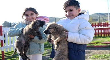 Çocuklara hayvan sevgisi kazandırılıyor