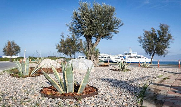 İzmir'in çehresi su tasarruflu bitkilerle güzelleşiyor