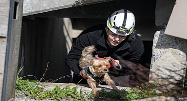 Afetzede hayvanlar için ilçelere arama kurtarma eğitimi