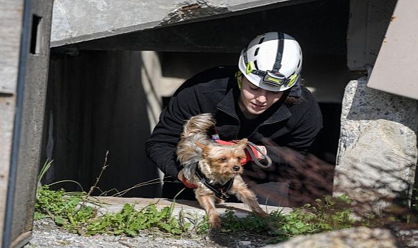 Afetzede hayvanlar için ilçelere arama kurtarma eğitimi